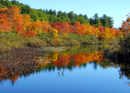 A serene river reflects vibrant autumn foliage in shades of red, orange, and yellow, surrounded by lush greenery.