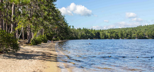 A serene lakeside scene with sandy beach, trees, and people enjoying the water under a clear blue sky.
