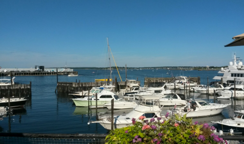 A scenic marina with various boats docked, surrounded by calm water and a clear blue sky.