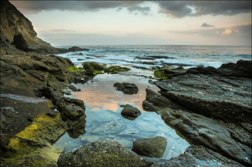 A rocky shoreline at sunset, with calm waters reflecting the sky and green seaweed on the rocks.