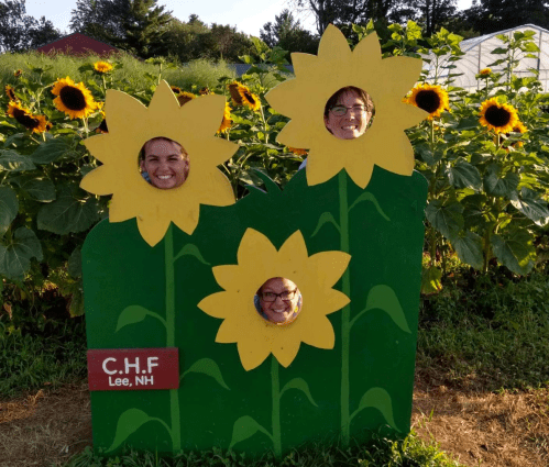 Three people smiling through cut-out faces in a sunflower-themed photo board, surrounded by sunflowers in a field.