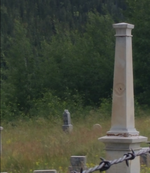 A weathered stone obelisk surrounded by overgrown grass and trees in a cemetery.