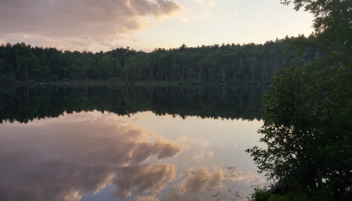 A serene lake reflecting trees and clouds at sunset, with a calm atmosphere and gentle colors.