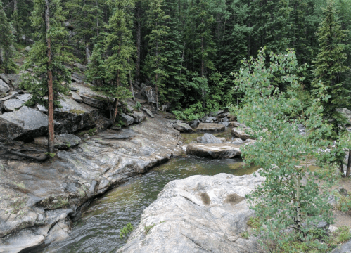 A serene river flows through rocky terrain, surrounded by lush green trees in a tranquil forest setting.