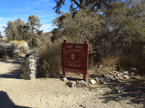 Sign for Loop Trail with directions, surrounded by trees and rocky terrain on a sunny day.