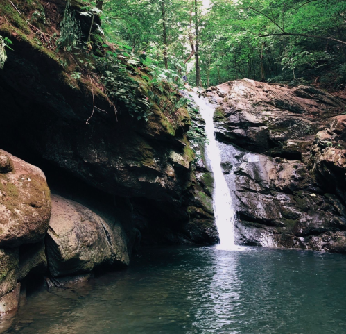 A serene waterfall cascades into a tranquil pool, surrounded by lush green foliage and rocky cliffs.