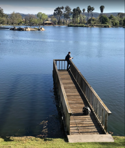 A person fishing from a wooden dock by a calm lake surrounded by trees and palm trees.