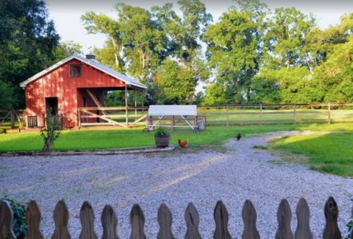 A red barn surrounded by green trees, with a gravel path and chickens roaming in a sunny rural setting.