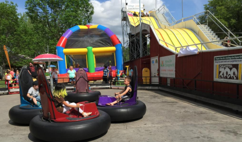 Children enjoy a fun outdoor amusement area with bumper cars, a bouncy castle, and a large slide in the background.