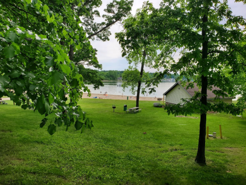 A serene lakeside view with green grass, trees, and a sandy beach in the distance under a cloudy sky.