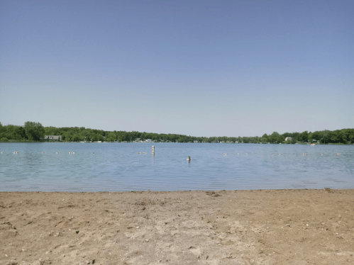 A calm lake with a sandy beach, surrounded by greenery and a clear blue sky. A person is swimming in the water.