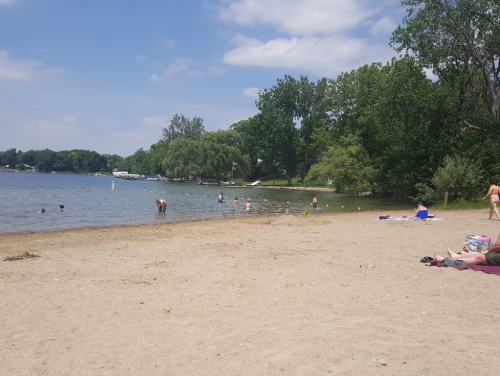 A sandy beach by a lake with people swimming and relaxing under a blue sky with scattered clouds.