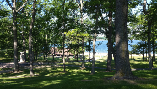 A serene park scene with tall trees, a sandy beach in the distance, and sunlight filtering through the leaves.