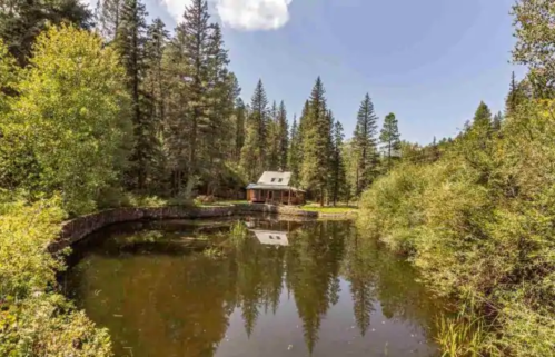 A serene cabin by a pond, surrounded by lush trees and reflecting the blue sky and clouds above.