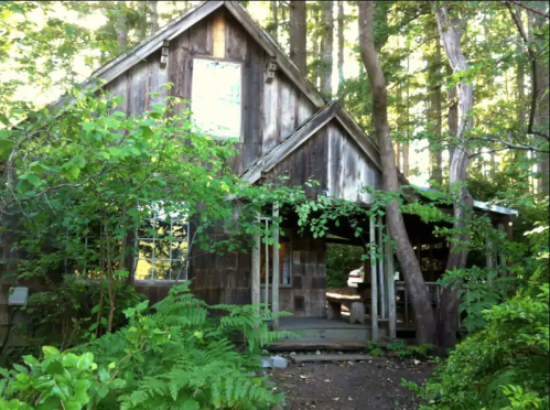 A rustic wooden cabin surrounded by lush greenery and trees, with a porch and large windows.