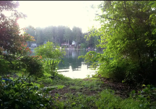 A serene lake view framed by lush greenery and trees, reflecting the calm water and distant houses.