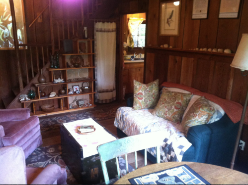 Cozy wooden interior with a sofa, armchairs, a coffee table, and shelves, creating a warm, inviting atmosphere.