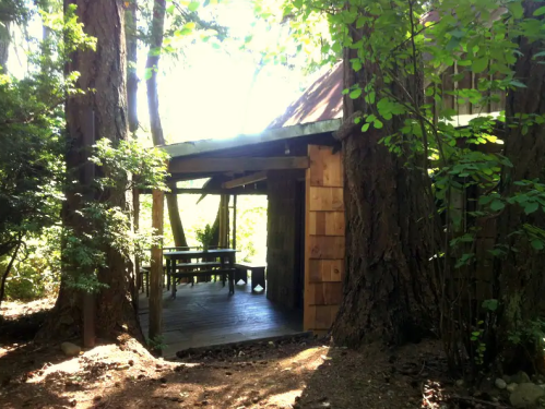 A rustic cabin nestled among tall trees, featuring a wooden deck and a table under a shaded area.