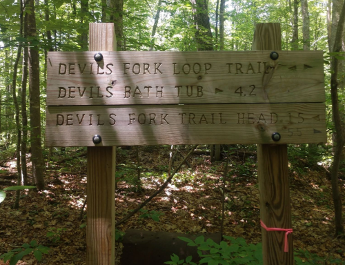 Wooden trail sign in a forest, indicating directions to Devils Fork Loop Trail and Devils Bath Tub, with distances.