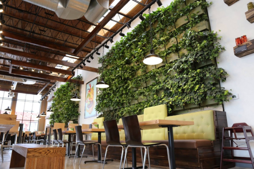 Interior of a modern restaurant featuring a green wall, wooden tables, and industrial-style lighting.
