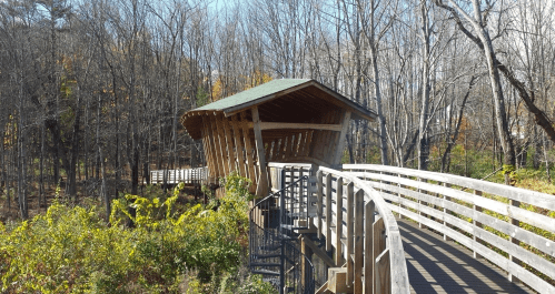 A wooden walkway curves through a forest, leading to a unique, modern structure with a slanted roof.