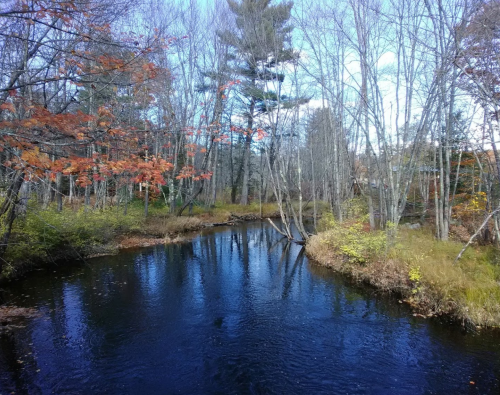 A serene river flows through a forest with autumn foliage and clear blue skies, reflecting the trees in the water.