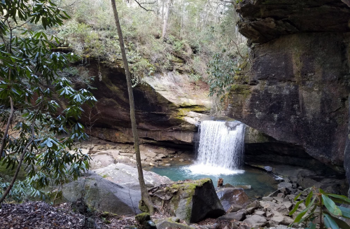 A serene waterfall cascades into a rocky pool, surrounded by lush greenery and moss-covered rocks.
