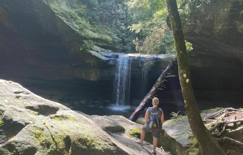 A person stands on rocks near a serene waterfall surrounded by lush greenery and trees.