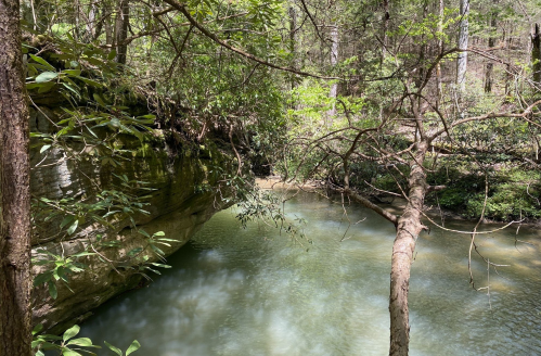 A serene forest scene featuring a calm river flowing between lush greenery and rocky cliffs.