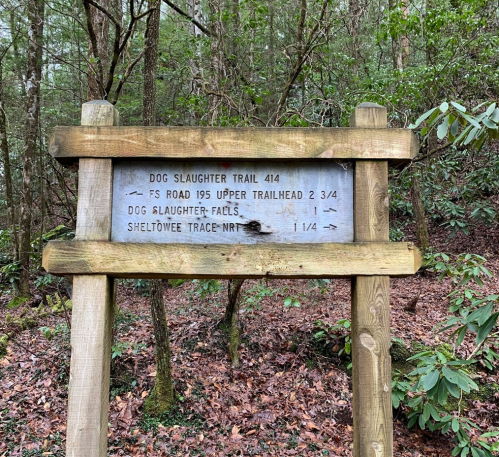 Wooden trail sign in a forest, indicating directions to Dog Slaughter Trail, Dog Slaughter Falls, and Sheltowee Trace NRT.