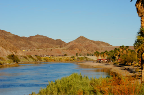 A serene river flows alongside palm trees and mountains under a clear blue sky.