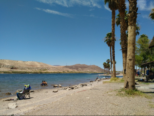 A serene riverbank scene with palm trees, a sandy shore, and people relaxing by the water under a clear blue sky.
