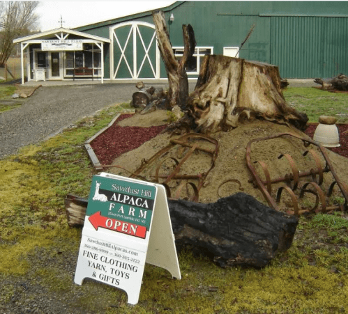 Sign for Sawdust Hill Alpaca Farm with "OPEN" displayed, surrounded by rustic decor and a green barn in the background.