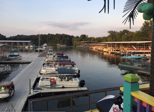 A serene marina at sunset, with boats docked and a wooden walkway leading to the water. Lush trees in the background.