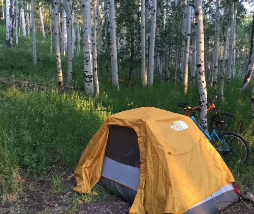 A yellow tent set up in a lush green forest with aspen trees and a bicycle nearby, illuminated by soft sunlight.