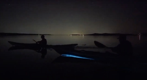 Two kayakers paddle on a calm, dark lake, illuminated by distant lights and a faint starry sky.