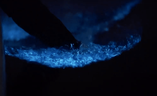 A hand gently touches glowing blue bioluminescent water, creating a shimmering effect in the dark.