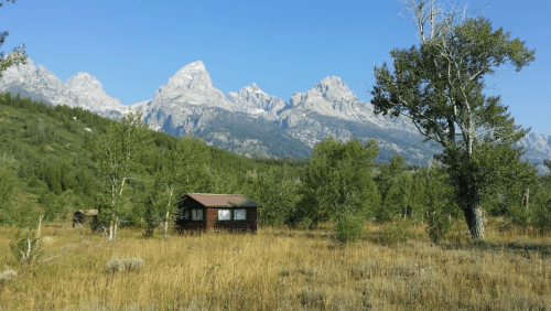 A rustic cabin surrounded by tall grass and trees, with majestic mountains in the background under a clear blue sky.