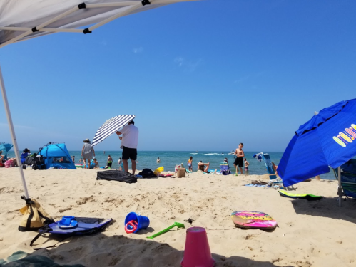 A sunny beach scene with people enjoying the water, colorful umbrellas, and beach gear scattered on the sand.