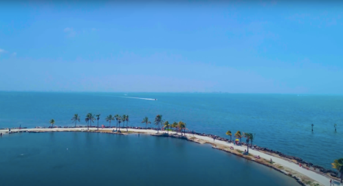 Aerial view of a serene coastline with palm trees, a sandy beach, and calm blue waters under a clear sky.