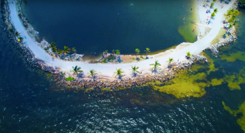 Aerial view of a curved sandy beach lined with palm trees, surrounded by clear blue water.
