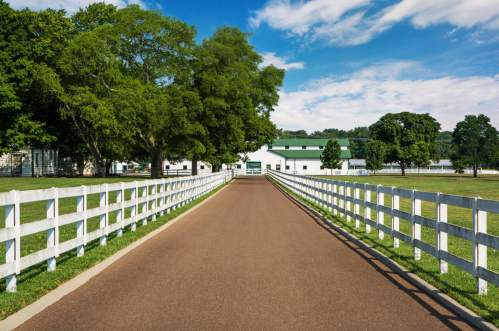 A scenic view of a tree-lined driveway leading to a white barn, framed by a white fence under a blue sky.