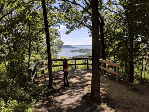 A person stands on a lookout platform surrounded by trees, overlooking a river and distant hills under a clear sky.