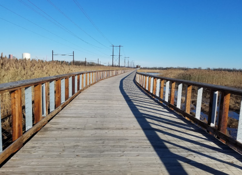 A wooden boardwalk curves through a grassy area under a clear blue sky, with power lines in the background.
