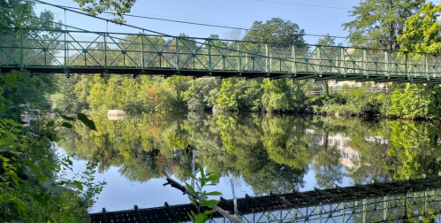 A green suspension bridge spans a calm river, surrounded by lush trees and reflecting the scenery in the water.
