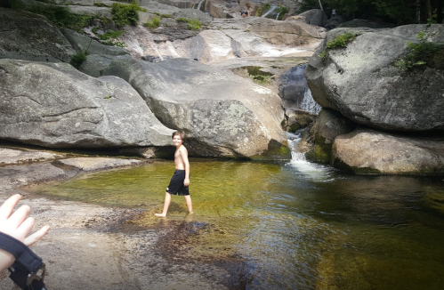 A boy wades through a shallow stream surrounded by large rocks and greenery.
