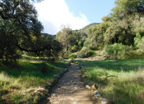 A dirt path winds through a lush green landscape with trees and mountains in the background under a clear blue sky.