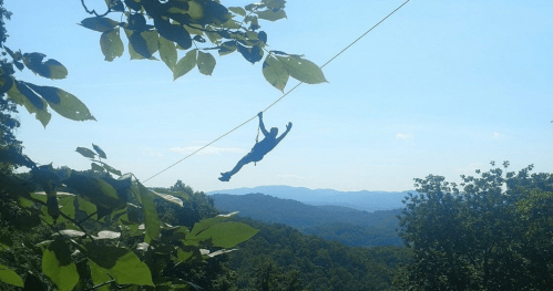 A person zip-lining through a forested area with mountains in the background under a clear blue sky.
