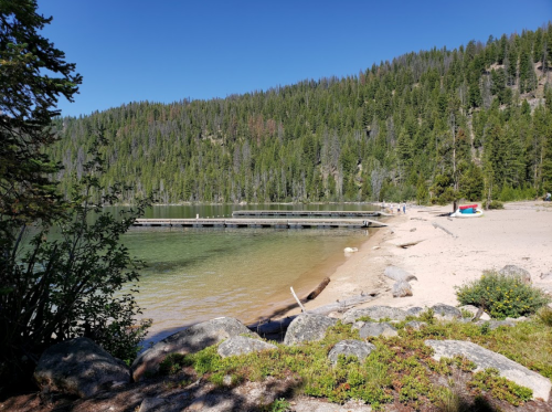 A serene lakeside scene with a sandy beach, dock, and lush green trees under a clear blue sky.