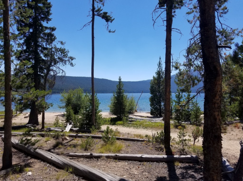 A serene lake view framed by tall trees and a sandy shore under a clear blue sky.